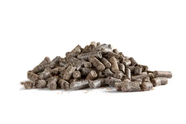 Photo of Beet pulp pellets