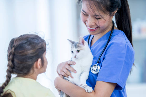 istock Bringing A Cat To The Vet 921437794