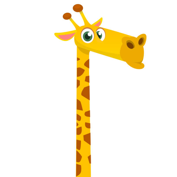 Cartoon funny giraffe. Vector illustration of african savanna giraffe smiling. Cartoon funny giraffe. Vector illustration of african savanna giraffe smiling. giraffe stock illustrations