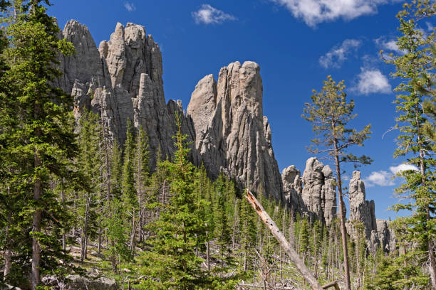 Distinctive Crags Over an Alpine Valley Distinctive Crags Over an Alpine Valley in the Needles of Custer State Park in the Black Hills of South Dakota black hills national forest stock pictures, royalty-free photos & images
