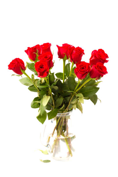 istock Beautiful Red Roses on a White Background 921477506