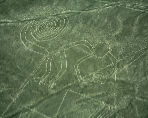 líneas de nazca de mono - perro peruano fotografías e imágenes de stock