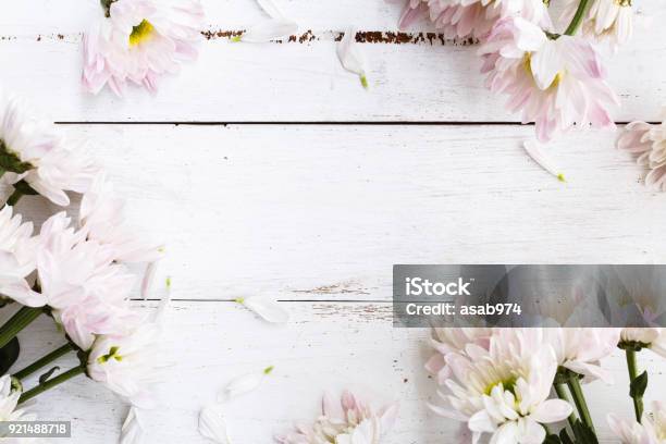 Spring Background Stock Photo - Download Image Now - May, April, Banner - Sign