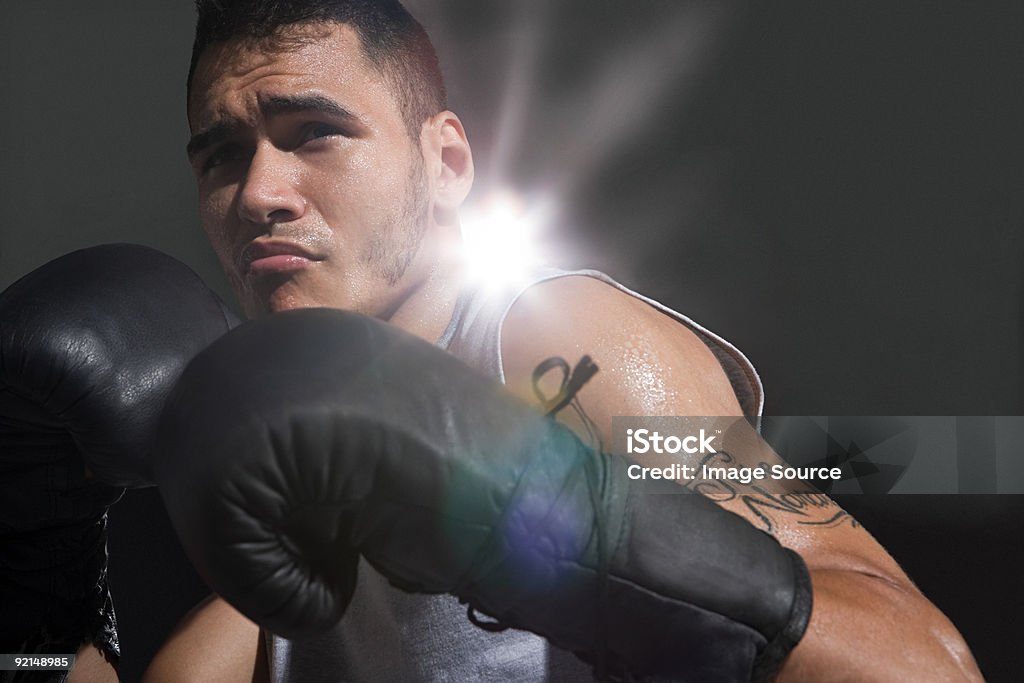 Boxer - Foto stock royalty-free di Adulto