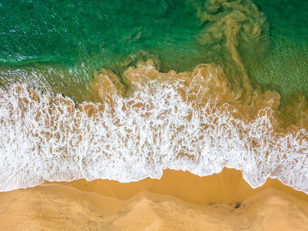istock Tropical landscape of beach and sea 921491342