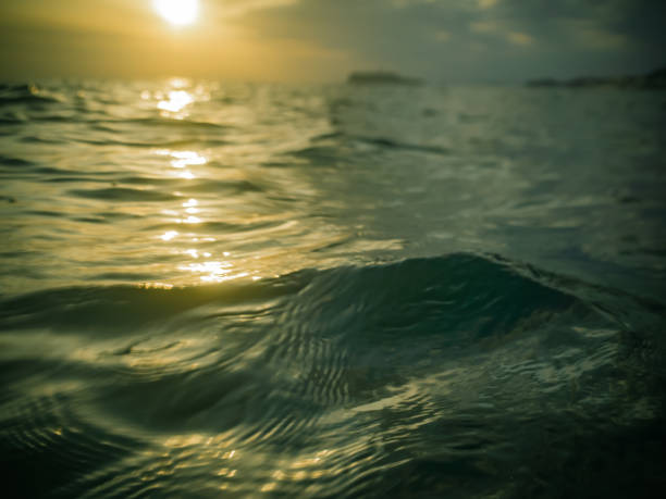 istock Wind waves on the surface of the ocean, reflecting the sunset 921493630