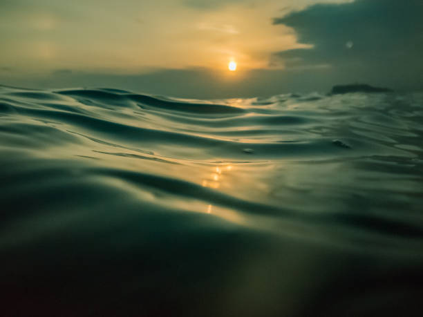 istock Wind waves on the surface of the ocean, reflecting the sunset 921493654