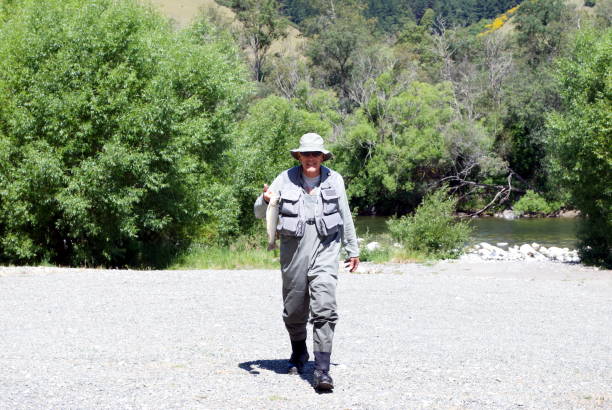 Fly Fisherman walks back from the River with his Catch A Fly Fisherman walks back from the River with his Catch of Trout. fisherman on the motueka river tasman new zealand stock pictures, royalty-free photos & images