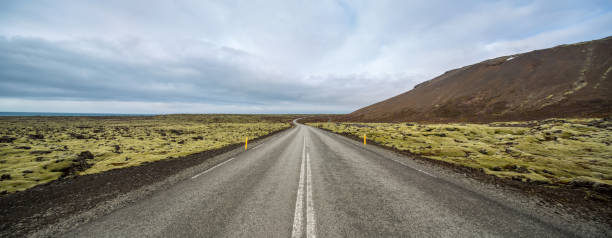 istock Icelandic landscape with country roadway 921498552