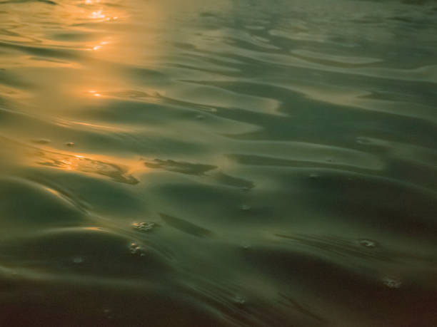 istock Wind waves on the surface of the ocean, reflecting the sunset 921498644