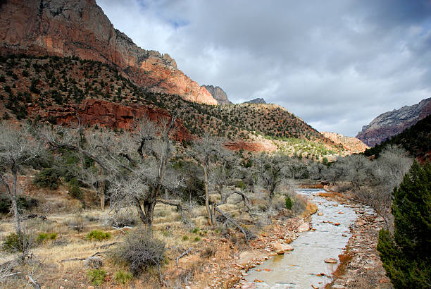 Fiume Virgin -- Zion Utah - foto stock