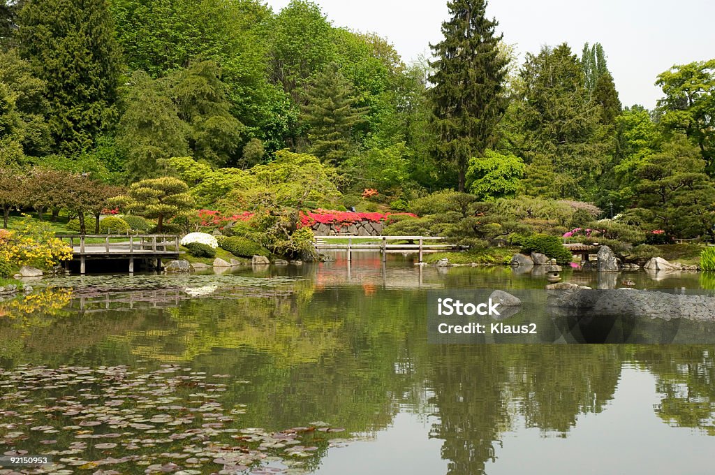 Jardin japonais 12 - Photo de Arbre libre de droits