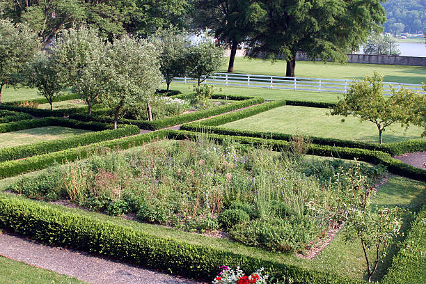 istock Garden in a villa 92151358