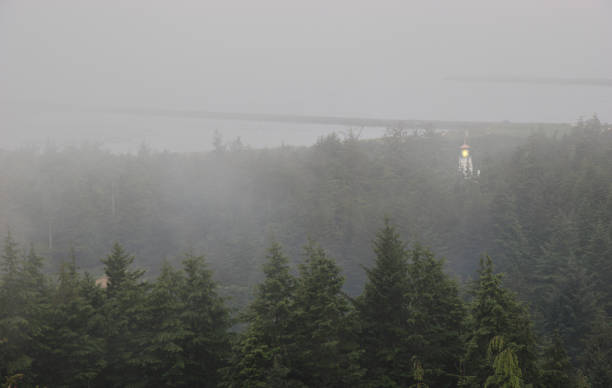 istock Lighthouse in the Fog 92151409