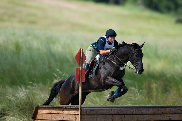 istock Equestrian Jump at Cross Country 92151573