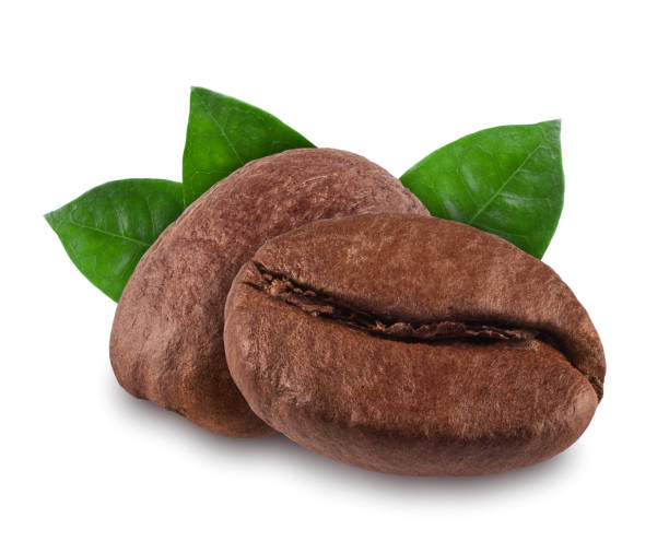 istock coffee bean isolated on white background, nature 921516430