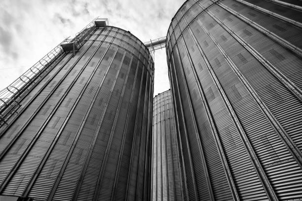 istock Agricultural Silos in Ontario, Canada 921516516