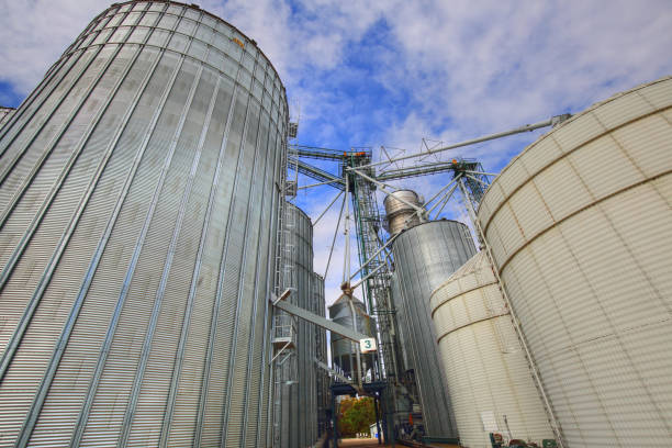 istock Agricultural Silos in Ontario, Canada 921516554