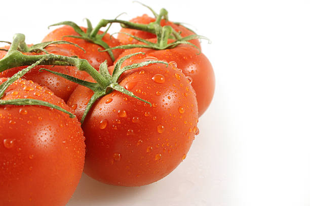 Primer plano de parra tomates - foto de stock