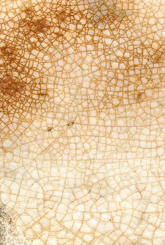 A hi res scan of a piece of antique pottery, showing how the glaze has cracked and stained with age