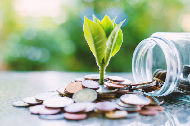 planta de monedas fuera de la jarra de cristal sobre fondo natural verde borroso para los negocios y el concepto de crecimiento financiero - jar coin currency glass fotografías e imágenes de stock