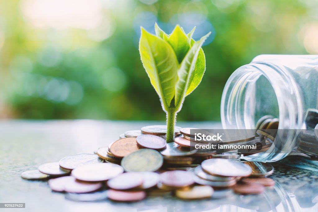 Plant growing from coins outside the glass jar on blurred green natural background for business and financial growth concept Retirement Stock Photo