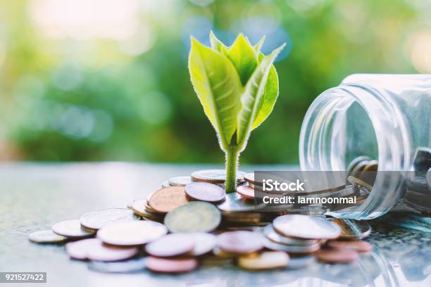 Plant Growing From Coins Outside The Glass Jar On Blurred Green Natural Background For Business And Financial Growth Concept Stock Photo - Download Image Now