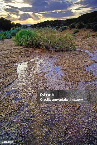 Potok I Szałwia - zdjęcia stockowe i więcej obrazów Potok - Potok, Pustynia, Albuquerque - Stan Nowy Meksyk
