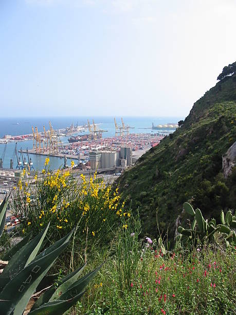 Barcelona harbor stock photo