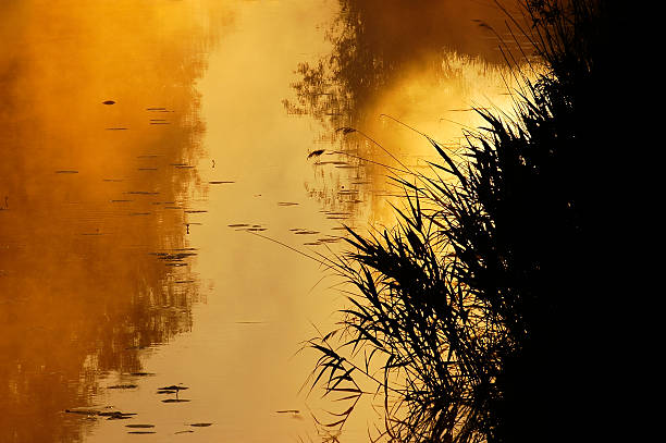 istock Paints of sunrise. 92154778