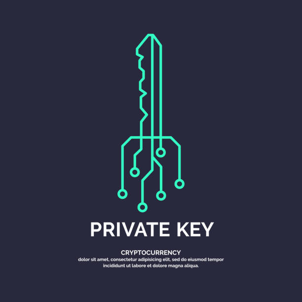 illustrations, cliparts, dessins animés et icônes de clé privée pour cryptocurrency. globales technologies numériques - computer close up technology industry