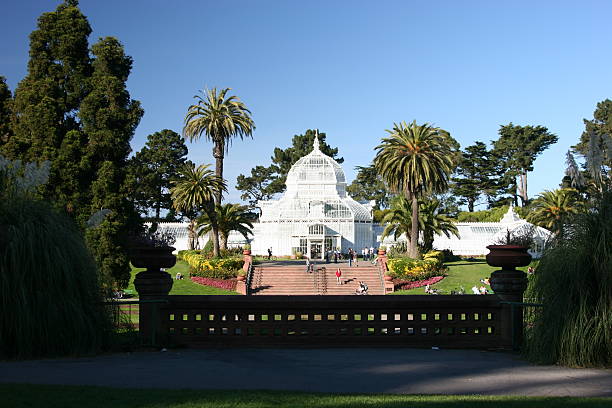 istock Hot House - Golden Gate Park 92154958