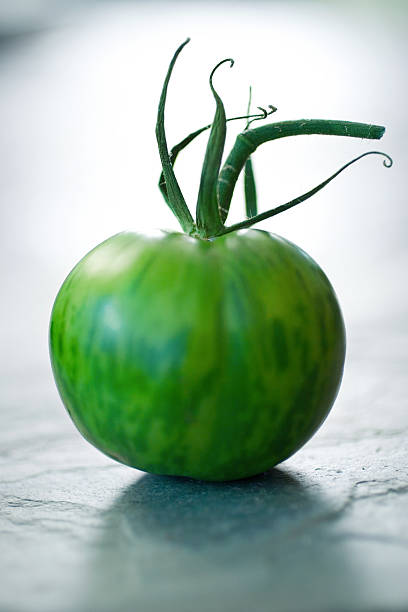 グリーンのゼブラ - heirloom tomato zebra tomato tomato organic ストックフォトと画像