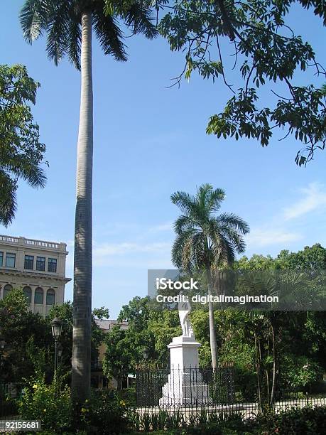 Plaza De Armas Havanna Stockfoto und mehr Bilder von Baum - Baum, Buchstabe S, Farbbild