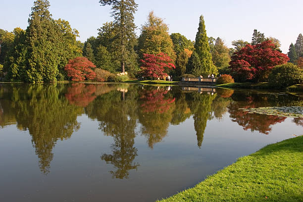 Cтоковое фото Суссекс сад на осень
