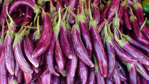 display of purple eggplants on a market