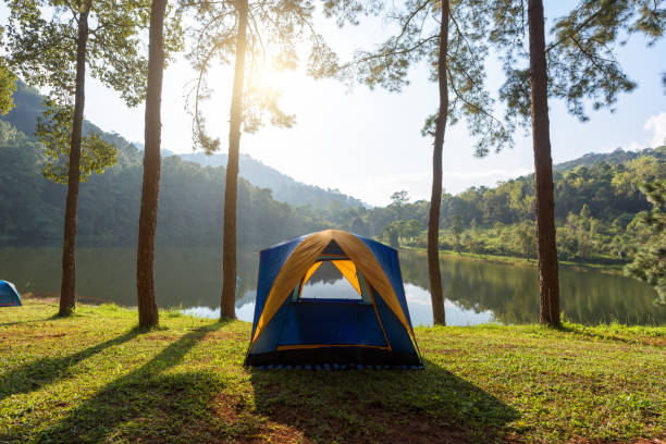 istock Camping and tent near river with view mountain 921565936