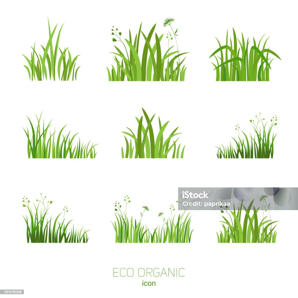 Set Eco green grass Grass icon. Silhouette of green plants for logo or sign. Eco style. Spring or summer seasonal illustration. Grass stock vector