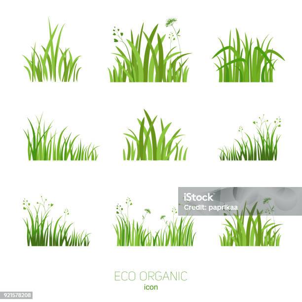 Set Eco Green Grass Stock Illustration - Download Image Now - Grass, Logo, Leaf