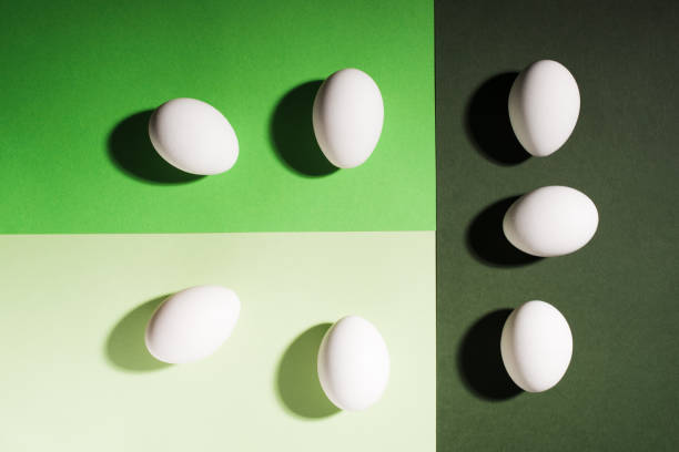 istock White easter eggs on three shades of green 921583912