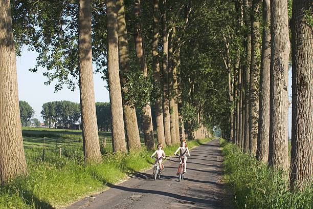 сестры велоспорт в голландии - bikingpath стоковые фото и изображения