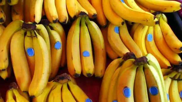 display of bananas on a Greek market