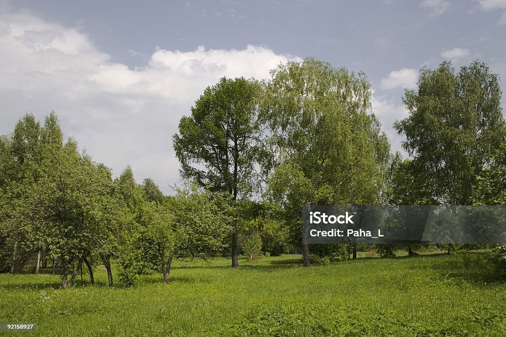 meadow wood  Agricultural Field Stock Photo