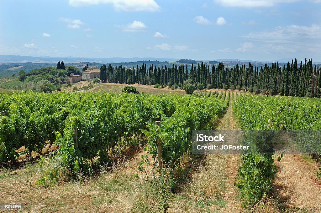 Toscana II - Foto stock royalty-free di Composizione orizzontale