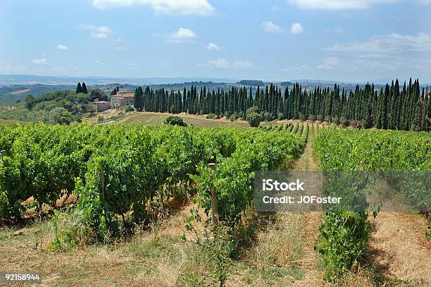 Toscana Ii - Fotografie stock e altre immagini di Composizione orizzontale - Composizione orizzontale, Fotografia - Immagine, Immagine a colori