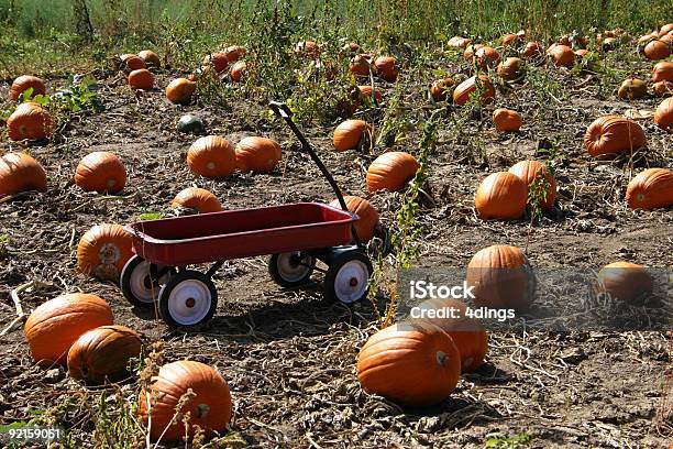 Photo libre de droit de Wagon Dans Un Champ De Potirons banque d'images et plus d'images libres de droit de Aliment - Aliment, Automne, Citrouille