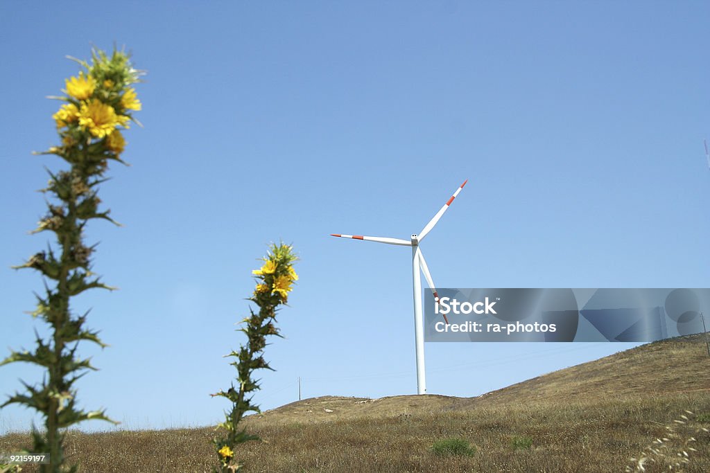 Energia wiatrowa - Zbiór zdjęć royalty-free (Bez ludzi)