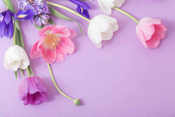 istock beautiful flowers on paper background 921594986