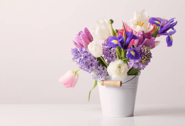 fiori primaverili in secchio su sfondo bianco - bouquet flower cut flowers flower arrangement foto e immagini stock