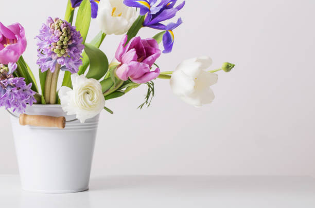 istock spring flowers in bucket on white  background 921595052